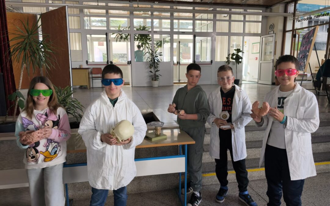 Moja glava, moja snaga