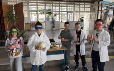 Moja glava, moja snaga