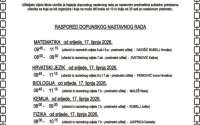 Organizacija dopunskog nastavnog rada